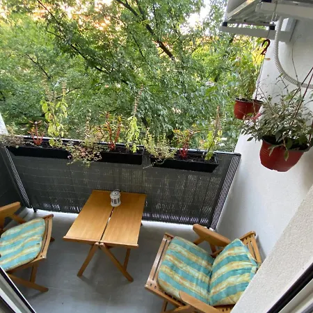 Lux Advent * Subotica