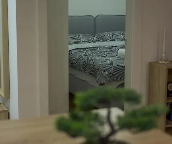 Lux Advent * Subotica