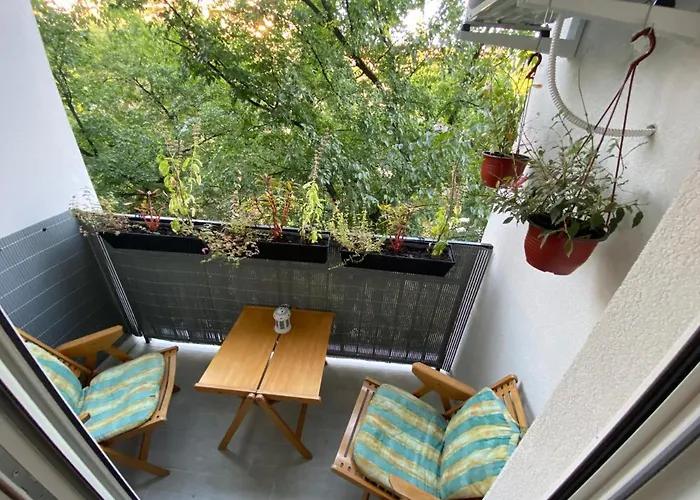 Lux Advent * Subotica